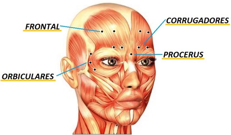 Toxina Botulínica Self Clínica